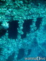 photo de plongée