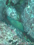 photo de plongée