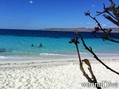 photo de plongée