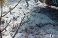 photo de plongée