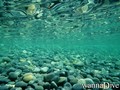 photo de plongée