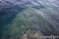 photo de plongée