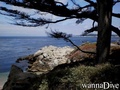 photo de plongée