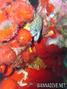 photo de plongée