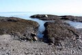 photo de plongée